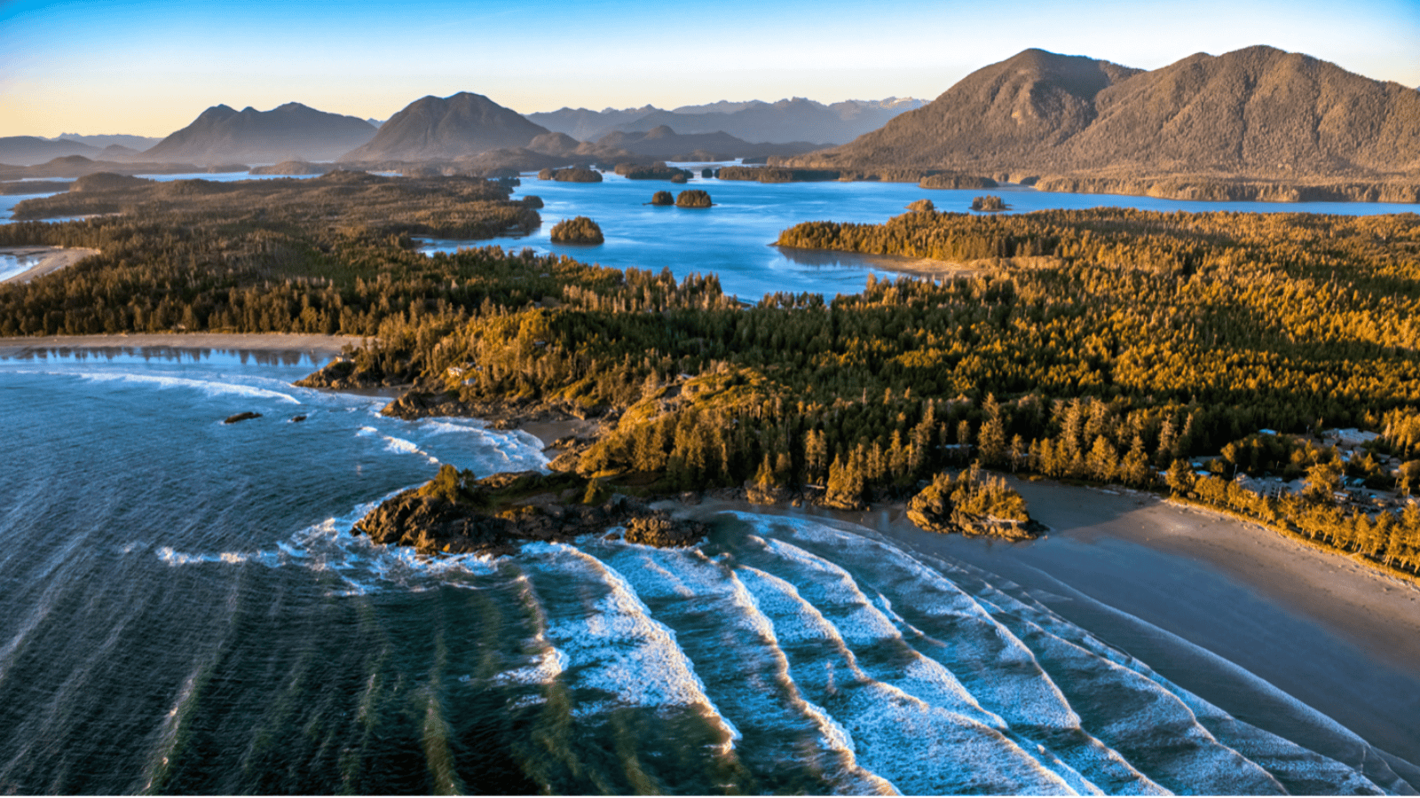 Tofino landscape